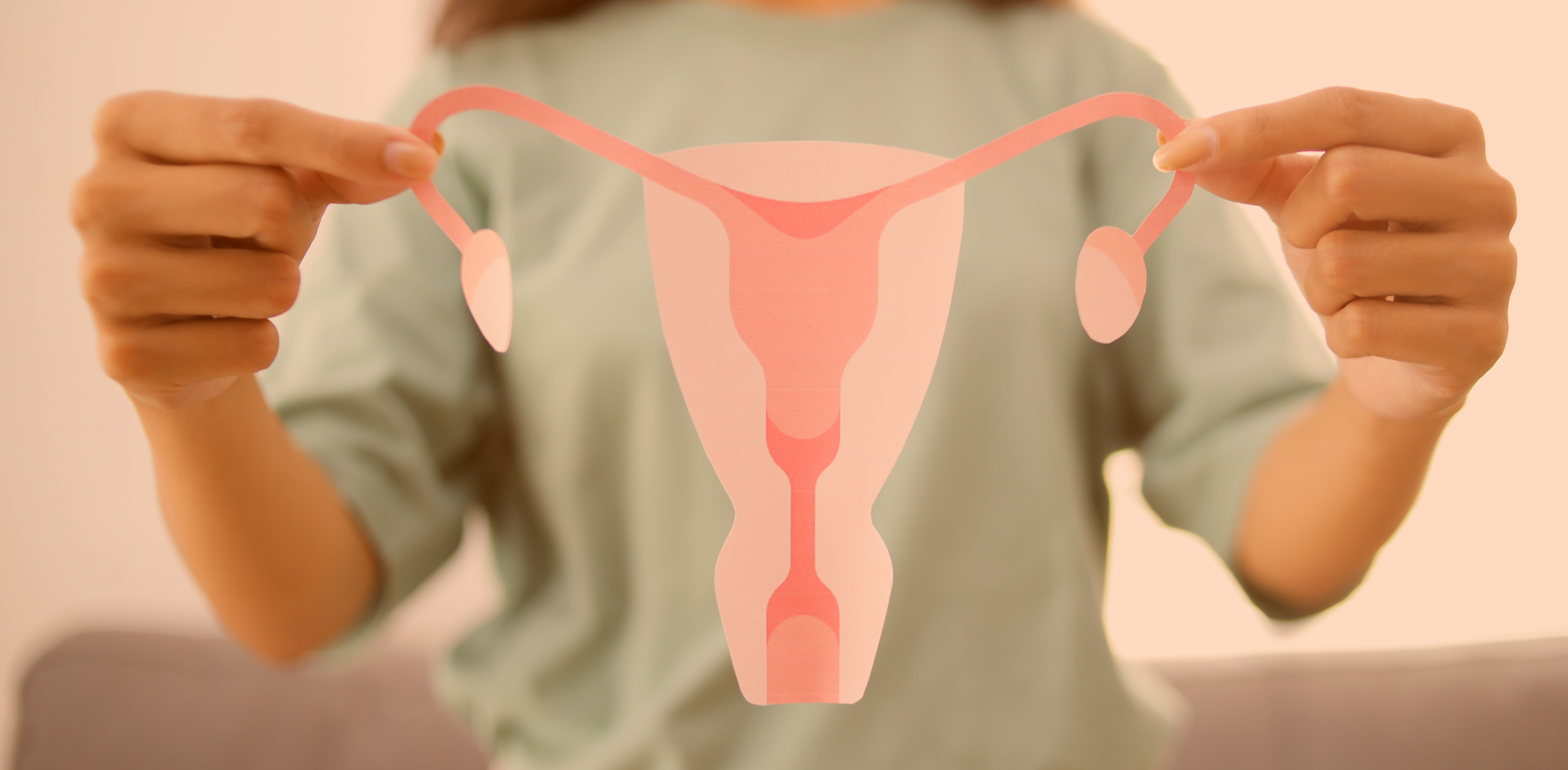 El c&aacute;ncer de endometrio ya no es lo que cre&iacute;as: 5 realidades que lo convierten en el c&aacute;ncer ginecol&oacute;gico m&aacute;s letal